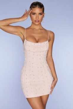 Embellished Cowl Neck Mini Dress In Blush 13 Embellished Cowl Neck Mini Dress In Blush -Pretty Dresses Sales 5322 6 Seychelles Blush Embellished Cowl mini Dresscopy