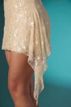 Embellished Lace Bandeau Mini Dress In Ivory -Pretty Dresses Sales 6568 4 Ivory Corset Dress With Rounded Neckline And Aline Hem
