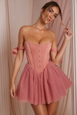 Off Shoulder Tulle Skirt Mini Dress In Terracotta 17 Off Shoulder Tulle Skirt Mini Dress In Terracotta -Pretty Dresses Sales 6756 10 Reine Terracotta Tulle Mini Skirt Corset Mini Dress