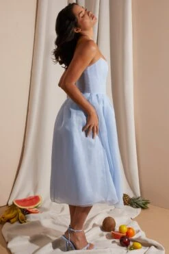 Strapless Corset Tulle Midi Dress In Blue -Pretty Dresses Sales 6921 5 Blue Strapless Box Pleat Midi Dress